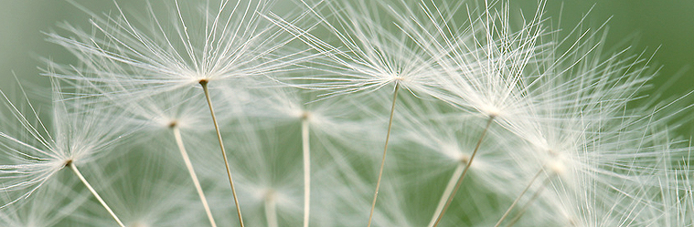 Lohnabrechnung, Gehaltsabrechnung, Personalverwaltung, Buchhaltung, Reutlingen, Tübingen, Personalbüro, Lohn, Gehalt, Finanzbuchhaltung, Büroservice, Personaldienstleistung, Buchungsservice, Abrechnung, Personalentlohnung, Koch und Möhler