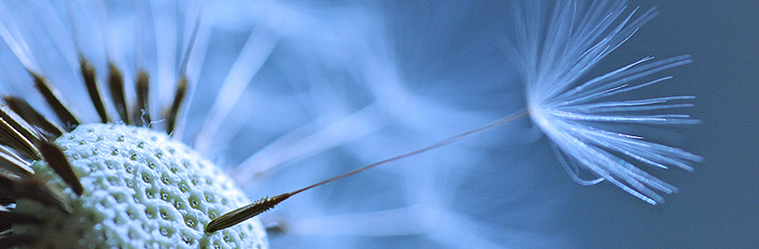 Lohnabrechnung, Gehaltsabrechnung, Personalverwaltung, Buchhaltung, Reutlingen, Tübingen, Personalbüro, Lohn, Gehalt, Finanzbuchhaltung, Büroservice, Personaldienstleistung, Buchungsservice, Abrechnung, Personalentlohnung, Koch und Möhler